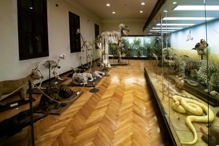 sala esotici sala esotici