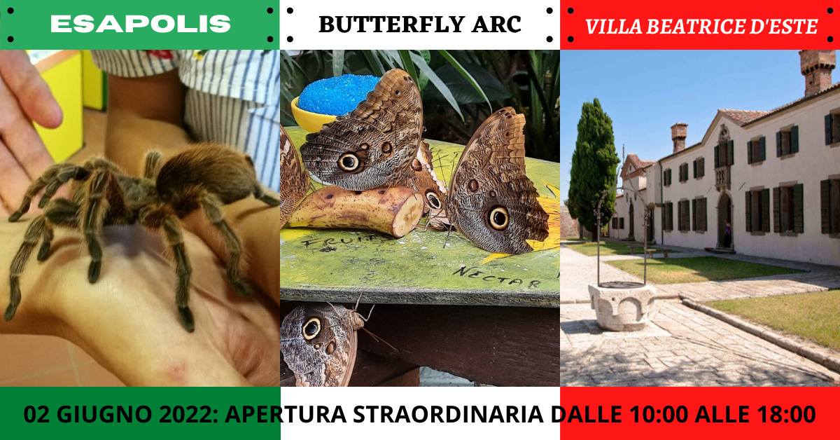 3 img musei apertura straordinaria 2 giugno 3 img musei apertura straordinaria 2 giugno