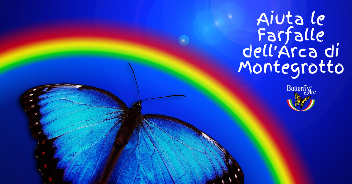 img aiuta le farfalle butterfly arc img aiuta le farfalle butterfly arc