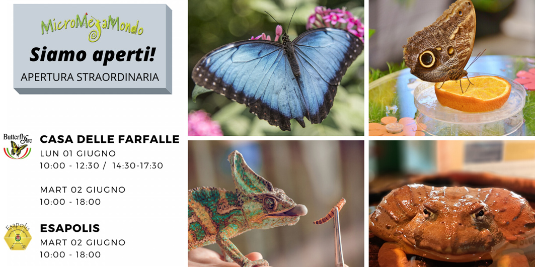 Esapolis e Casa delle Farfalle aperti il 2 giugno