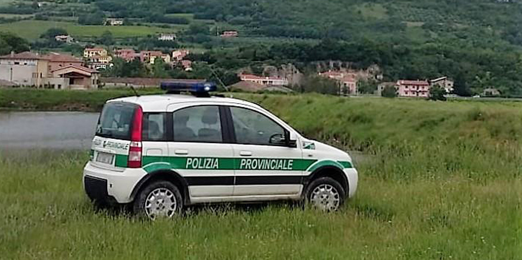 polizia provinciale polizia provinciale