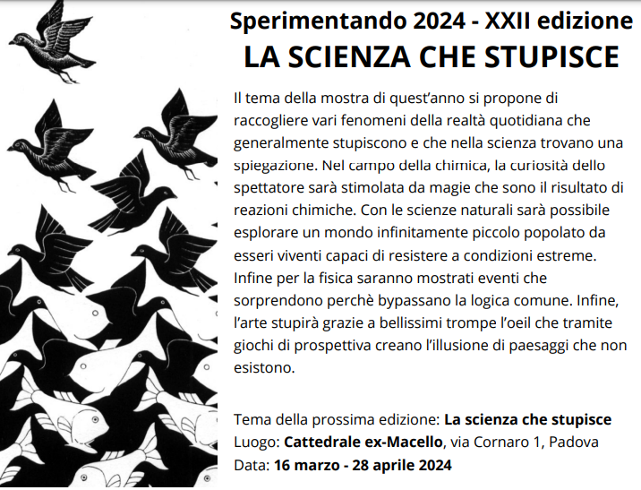 titolo e illustrazione non significativa titolo e illustrazione non significativa