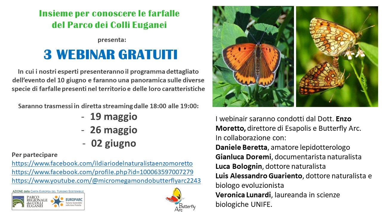 titolo e date webinar e foto di farfalle