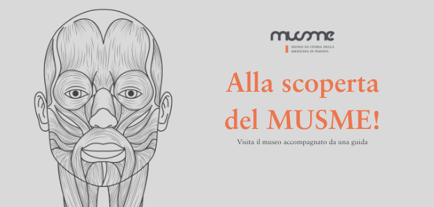 img locandina alla scoperta del musme img locandina alla scoperta del musme