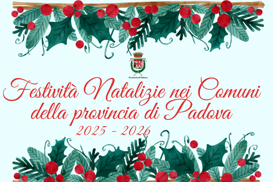 img non significativa