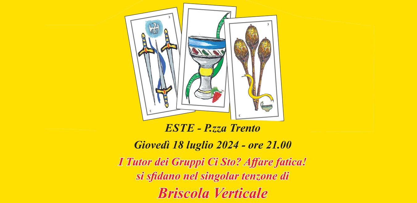 briscola verticale briscola verticale