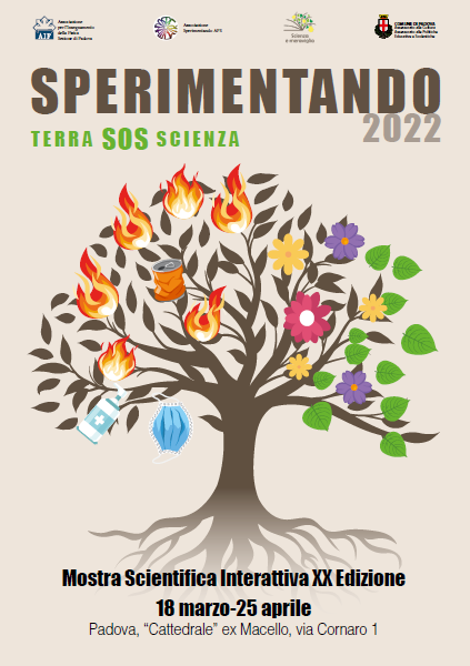 logo sperimentando 2022 - albero stilizzato logo sperimentando 2022 - albero stilizzato