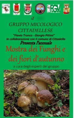 img-mostra-funghi-cittadella img-mostra-funghi-cittadella