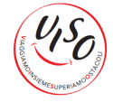 logo viso