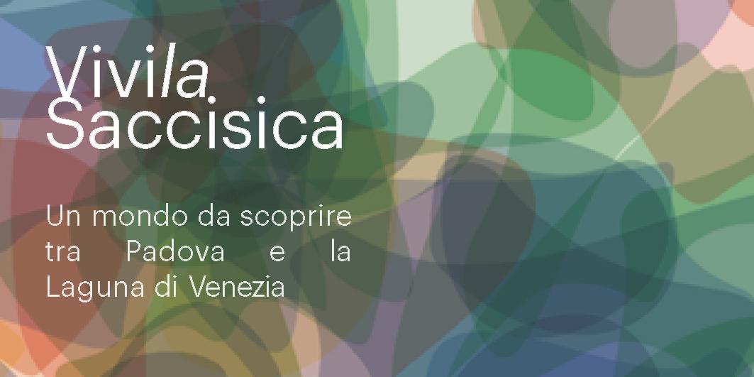 vivi la saccisica vivi la saccisica
