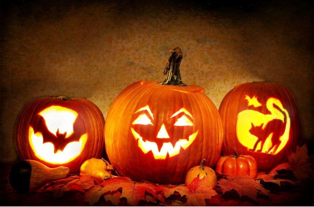 zucca halloween zucca halloween