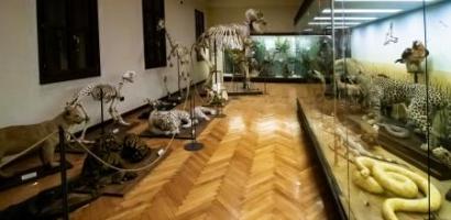 sala esotici