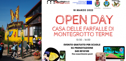 volantino open day