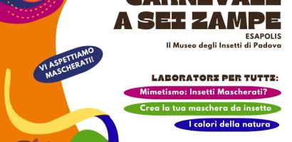 img non significativa