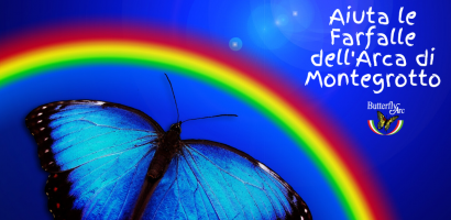 img aiuta le farfalle butterfly arc img aiuta le farfalle butterfly arc