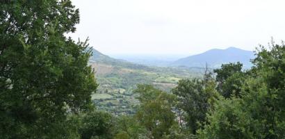 Immagine di default