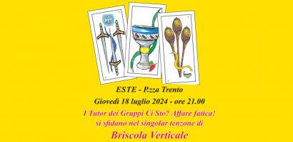 briscola verticale