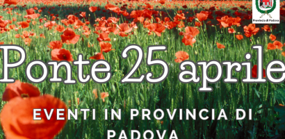 papaveri sullo sfondo bandiera italiana e titolo pagina