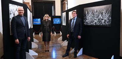 mostra Schiavon Padova aprile 2024