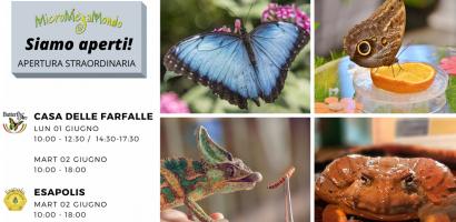 Esapolis e Casa delle Farfalle aperti il 2 giugno Esapolis e Casa delle Farfalle aperti il 2 giugno