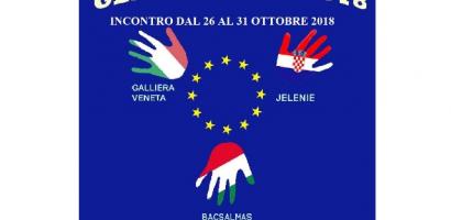 Immagine di default