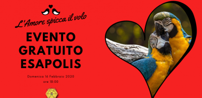 immagine manifesto