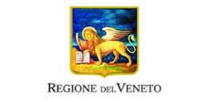 logo regione veneto logo regione veneto