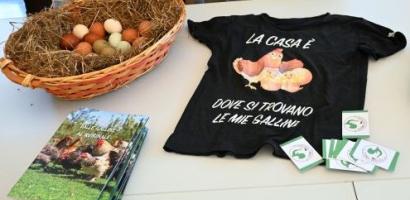 Immagine di default