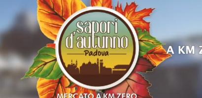 sapori d'autunno