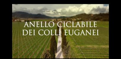 anello colli immagine video anello colli immagine video