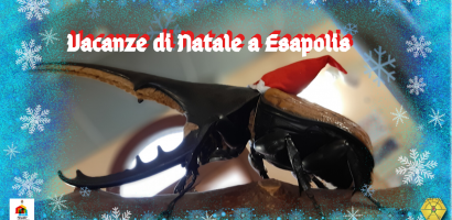 manifesto iniziativa