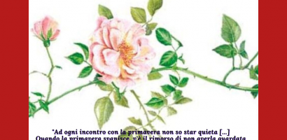 fiore disegnato e frase di emili dickinson