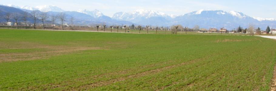 Campagna veneta