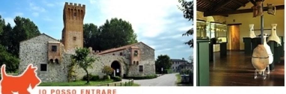 img castello di san martino
