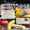 img non significativa
