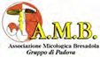 logo gruppo micologico